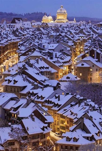 Snowy winter view