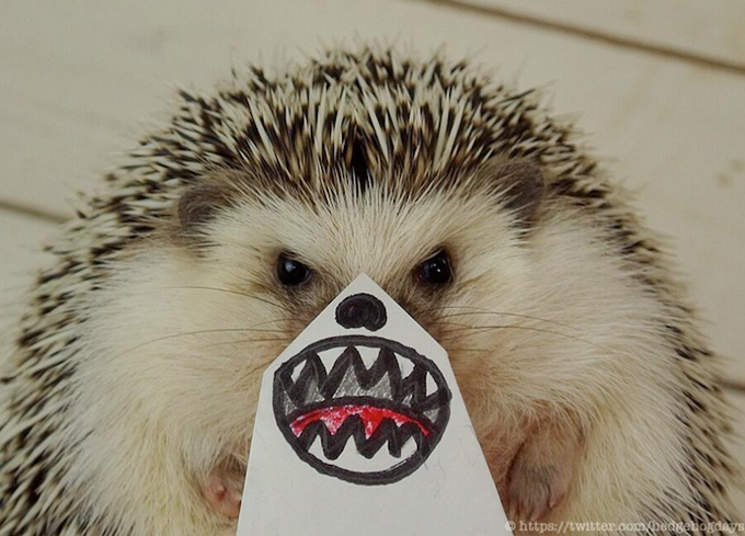 Marutaro hedgehog paper mask pose