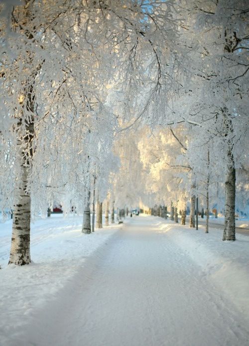 Winter scenery still