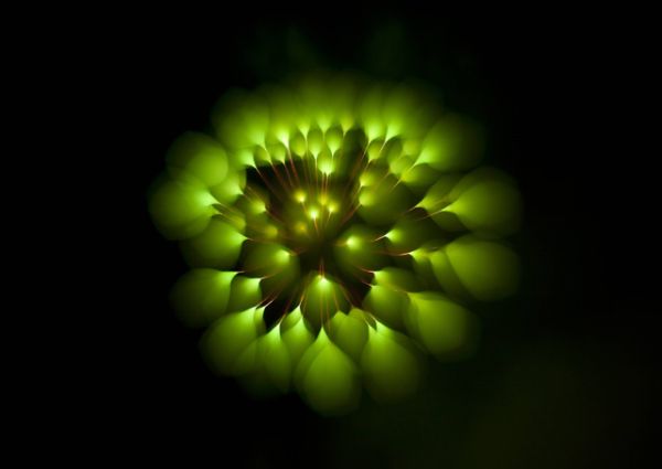 Firework light forming a fruit-like silhouette